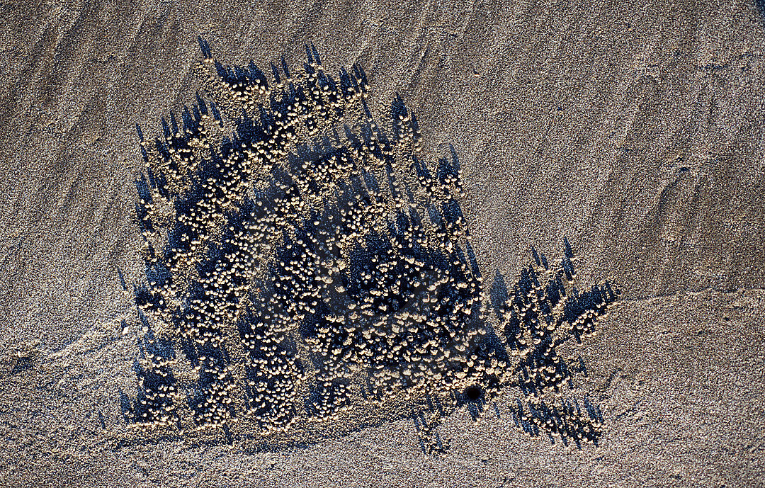 Sand formation, made by Sand bubbler
