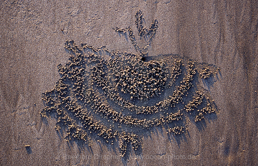 Sand formation, made by Sand bubbler