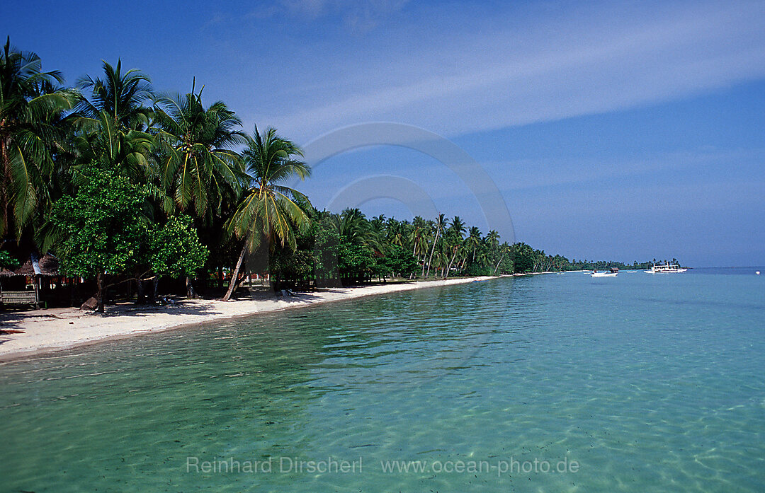 Sand beach with palms