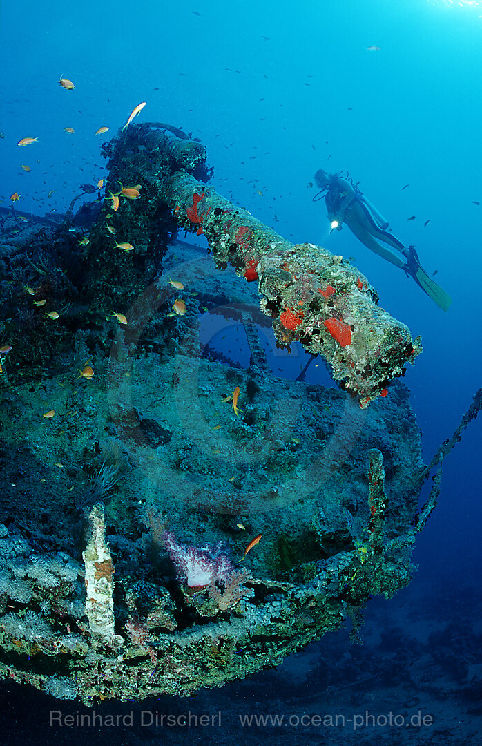 Taucher am Schiffswrack Thistlegorm