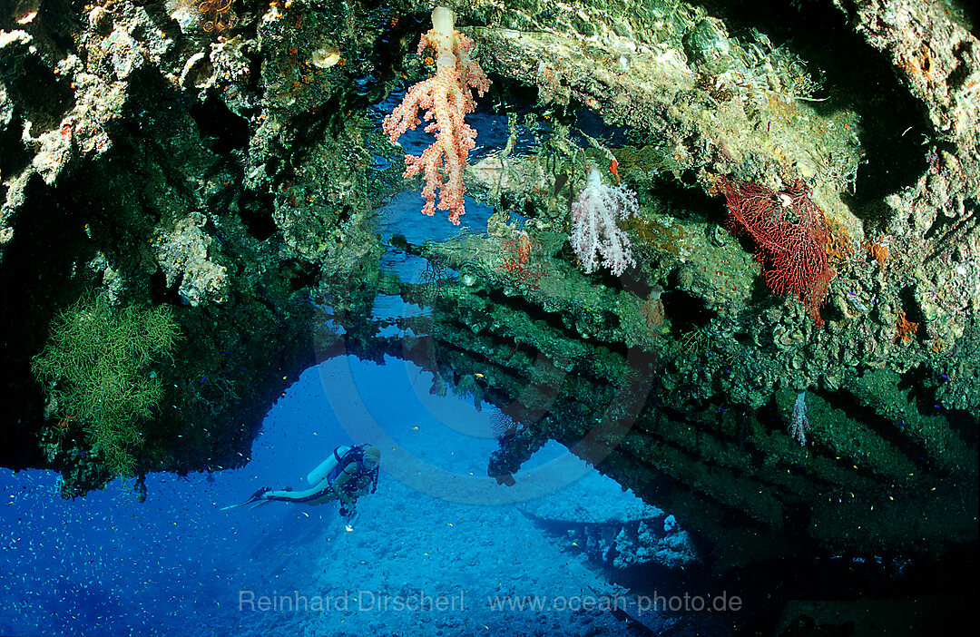 Taucher im Laderaum der Dunraven, Schiffswrack