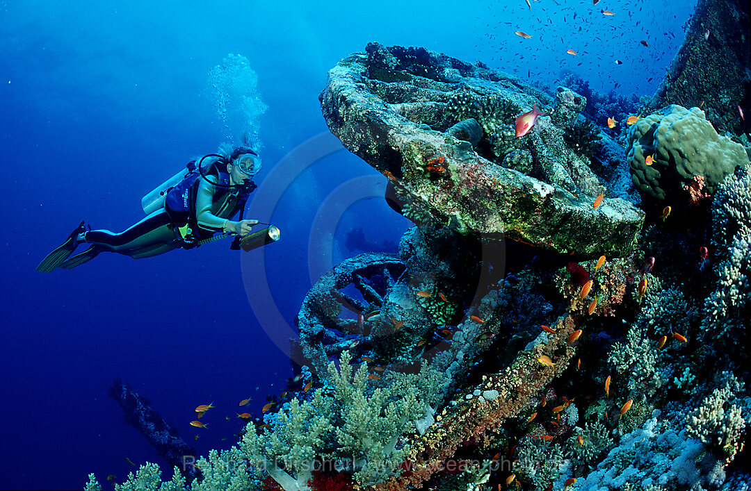 Taucher am Eisenbahnwrack, Aida, Rotes Meer, Brother Islands, gypten, Aegypten