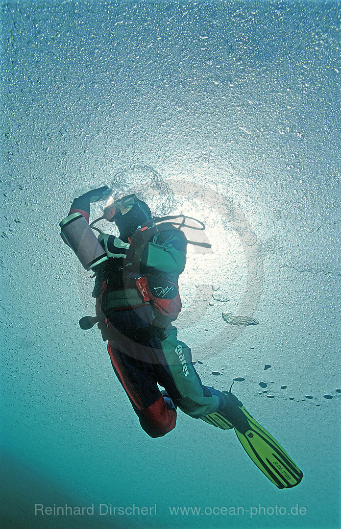 Ice diving, Scuba diver under ice, Tirol, Austria