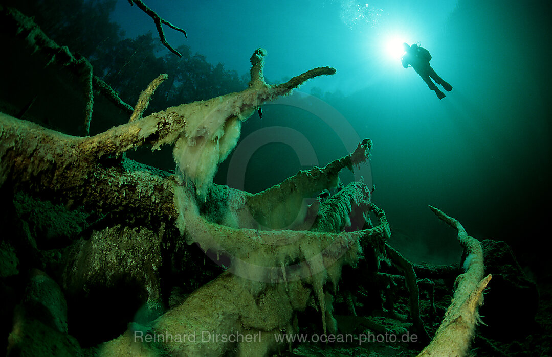 Scuba diver in  mountain lake, Tirol, Austria