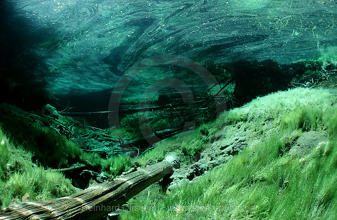 Gebirgs-Quelle, Gebirgssee, Tirol, sterreich, Oesterreich