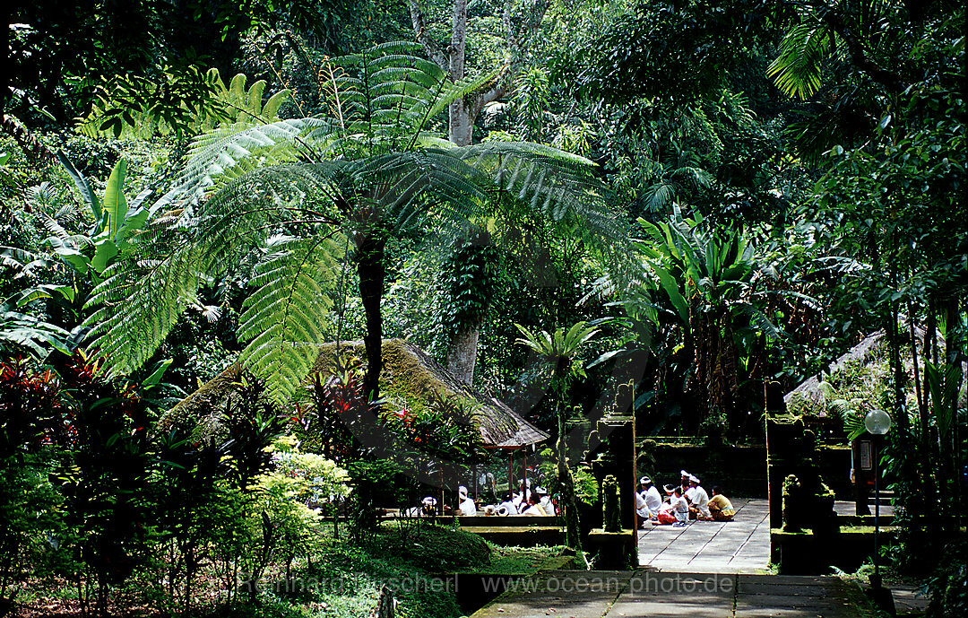 Glaeubige beten im Tempel, Bali, Indonesien