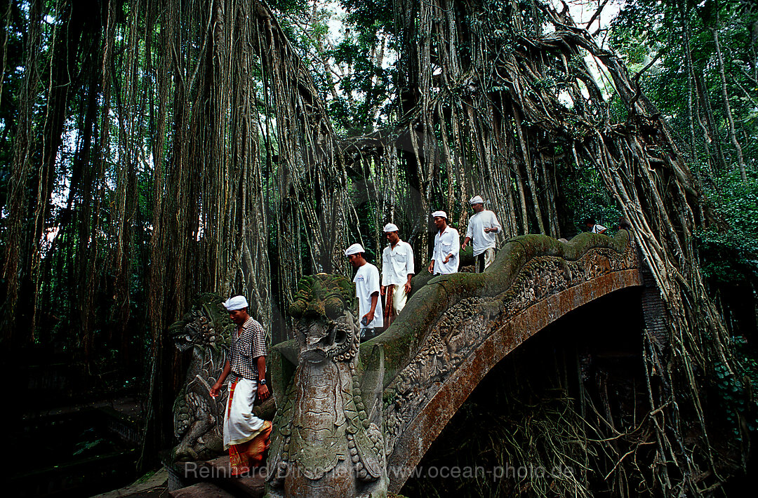 Glaeubige im Hindu Tempel Monkey Forest