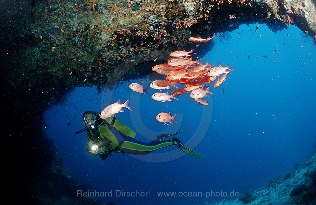 Taucher und Weisssaum-Soldatenfische, Unterwasserhoehle