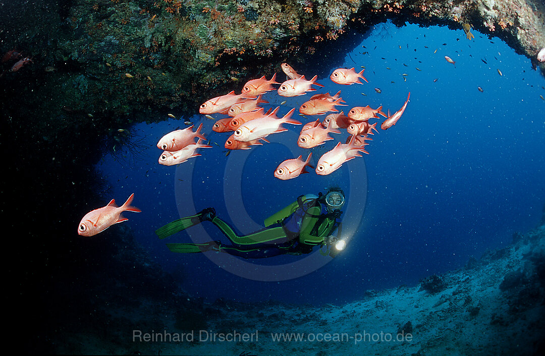 Taucher und Weisssaum-Soldatenfische, Unterwasserhoehle, Myripristis murdjan, Indischer Ozean, Ari Atoll, Malediven