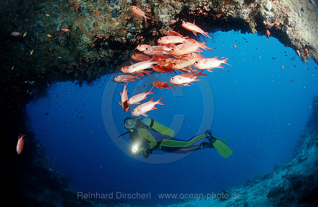 Scuba diver and Blotcheye soldierfishes, Underwater cave