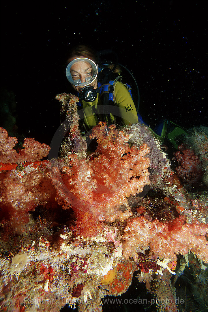 Night dive