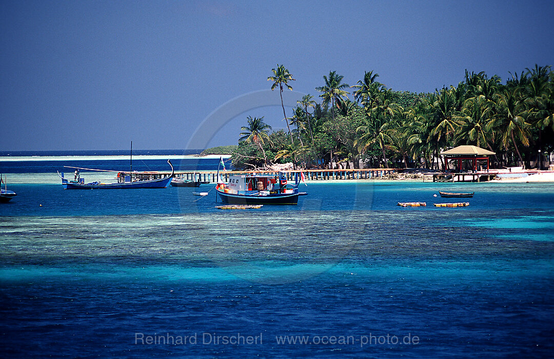 Malediveninsel Rhasdoo, Einheimischeninsel, Indischer Ozean, Rasdhoo Atoll, Malediven