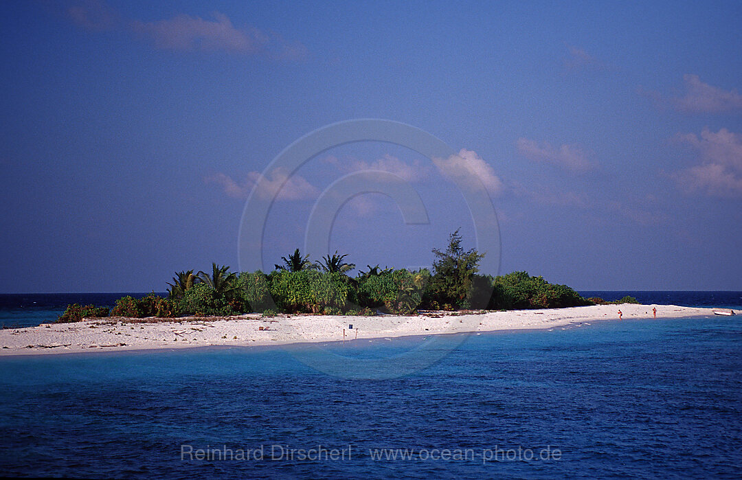 Malediveninsel, Touristeninsel, Indischer Ozean, Ari Atoll, Malediven