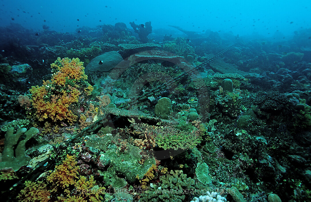 chain cable destroys coral reef, Pacific Ocean, Papua New Guinea