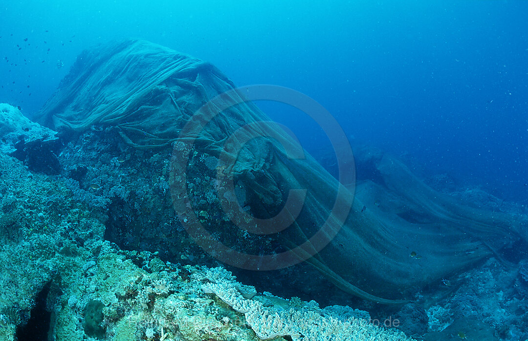 Verlorenes Fischernetz ueber Korallenriff, Suedchinesisches Meer, Malaysia