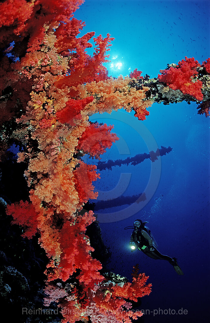 Wreck diving Numibia