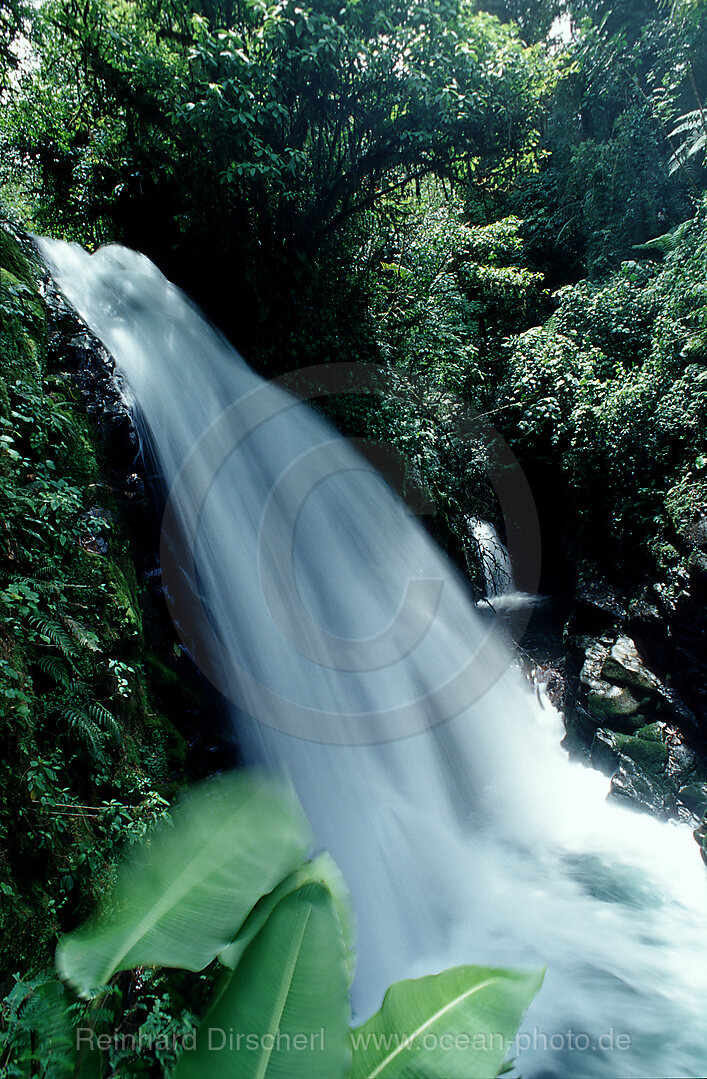 Wasserfall, La Paz Waterfall Gardens, Costa Rica, Sdamerika