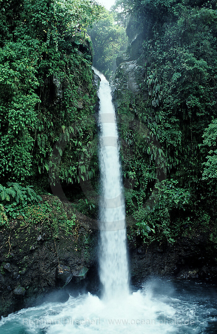 Wasserfall, La Paz Waterfall Gardens, Costa Rica, Sdamerika