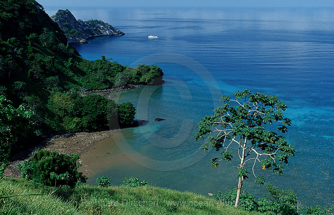 Cocos island