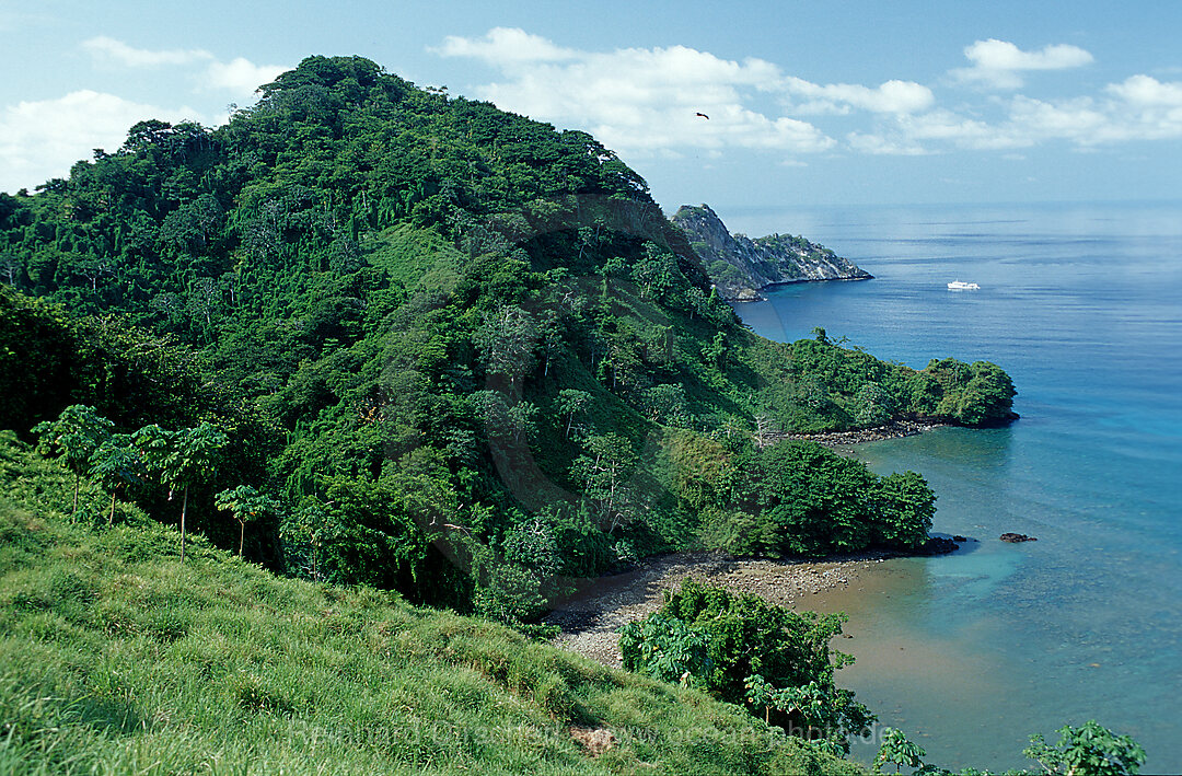 Cocos Insel