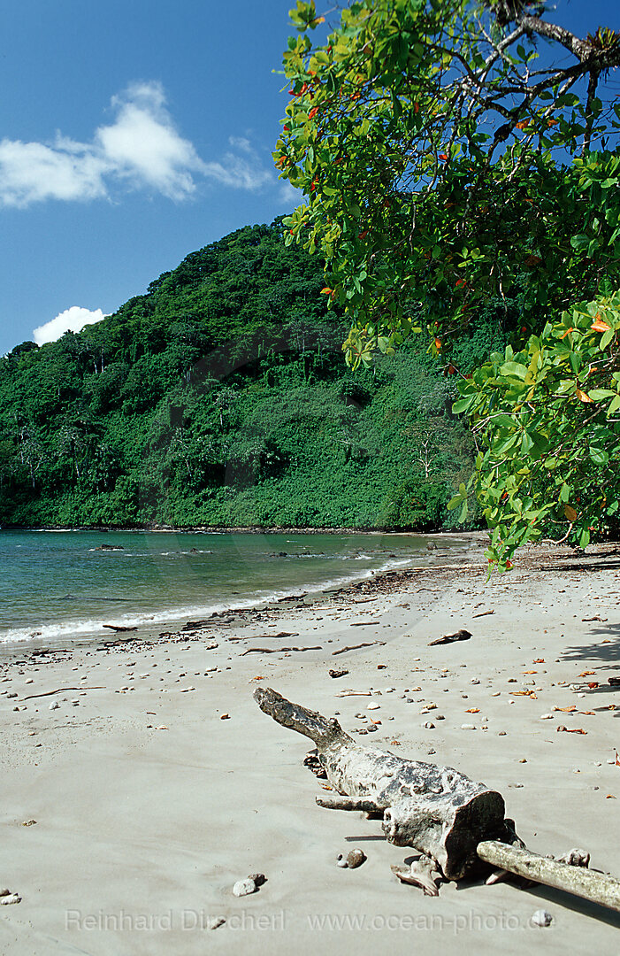 Einsamer Sandstrand, Cocos Insel, Suedamerika, Costa Rica, Sdamerika