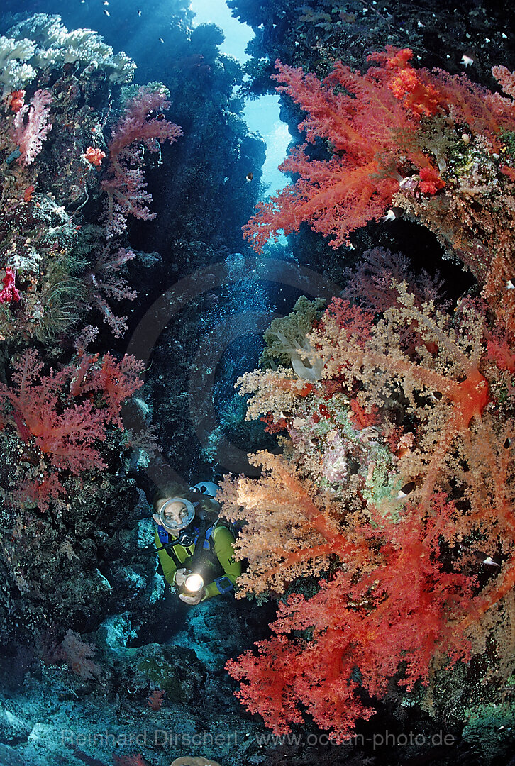 Scuba diver in underwater grotto