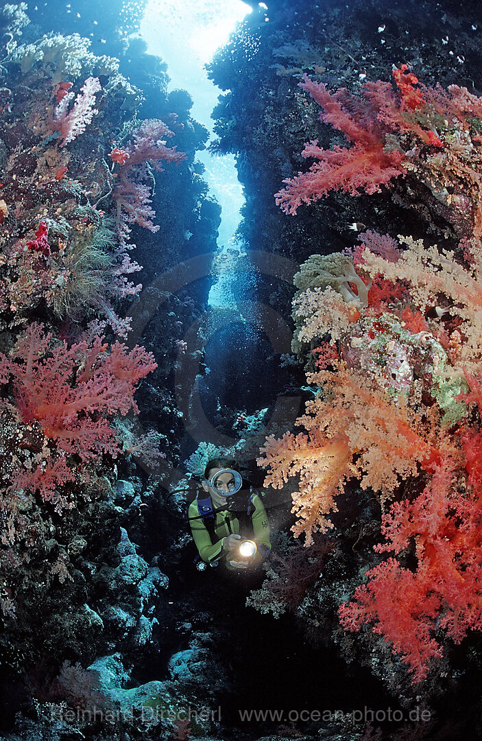 Scuba diver in underwater grotto