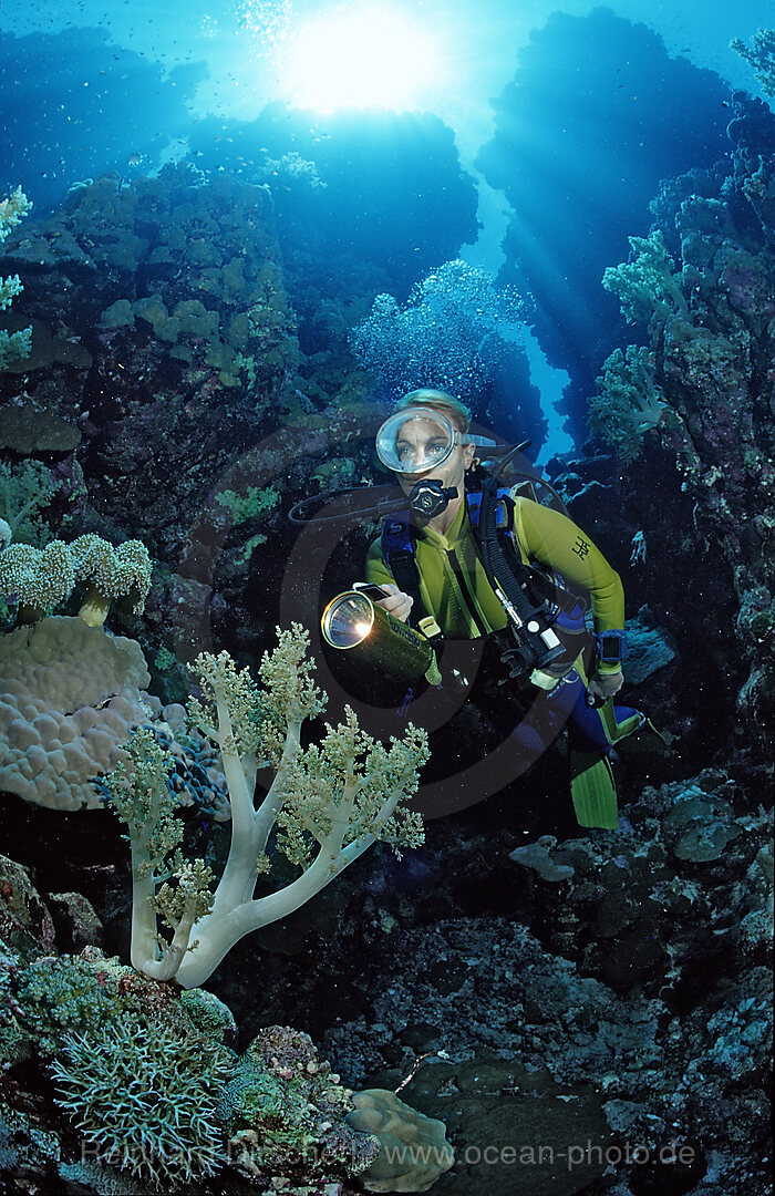 Scuba diver in underwater grotto