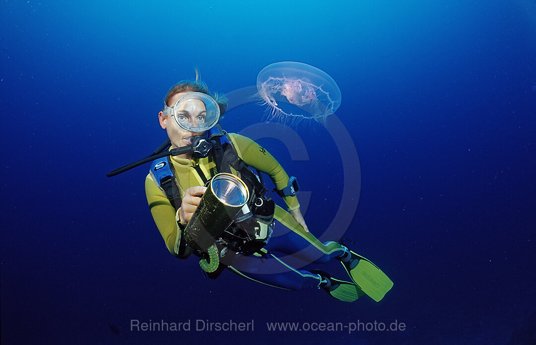 Scuba diver watches Moon Jellyfish