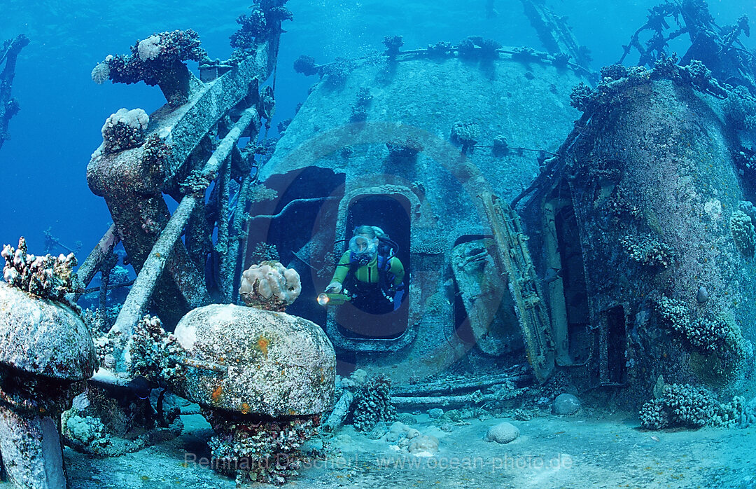 scuba diver explores unknown ship wreck
