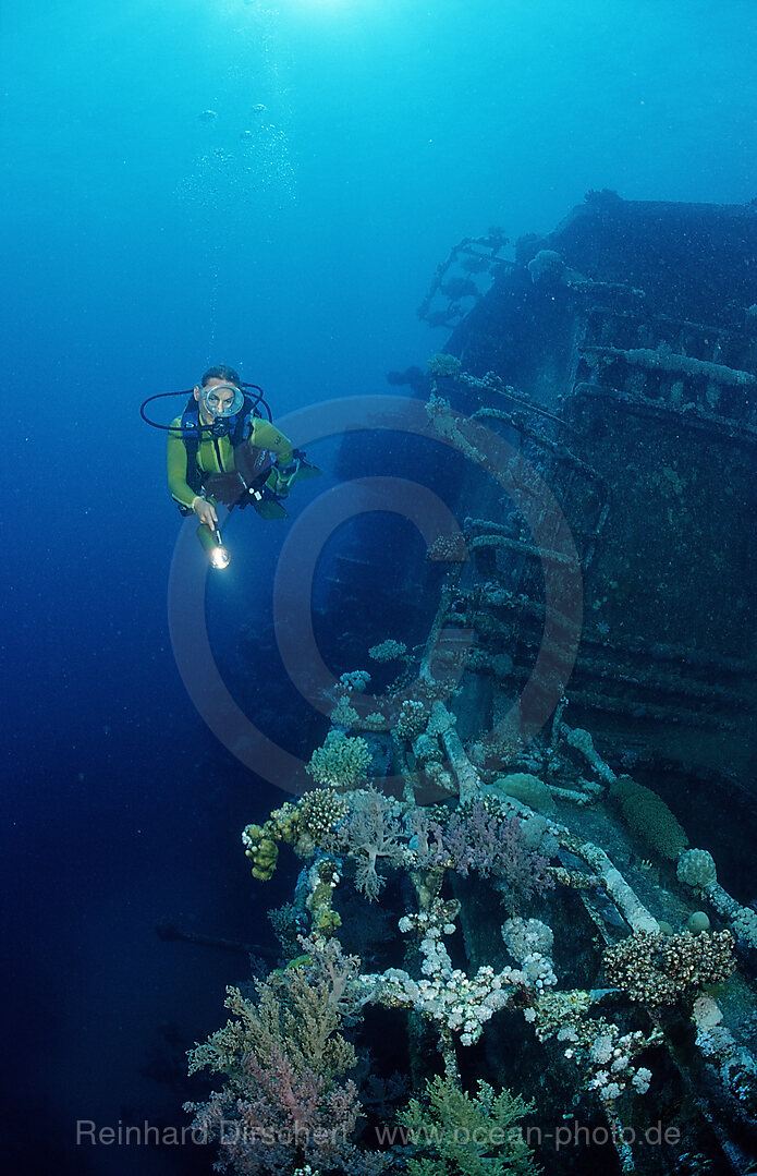 scuba diver explores unknown ship wreck