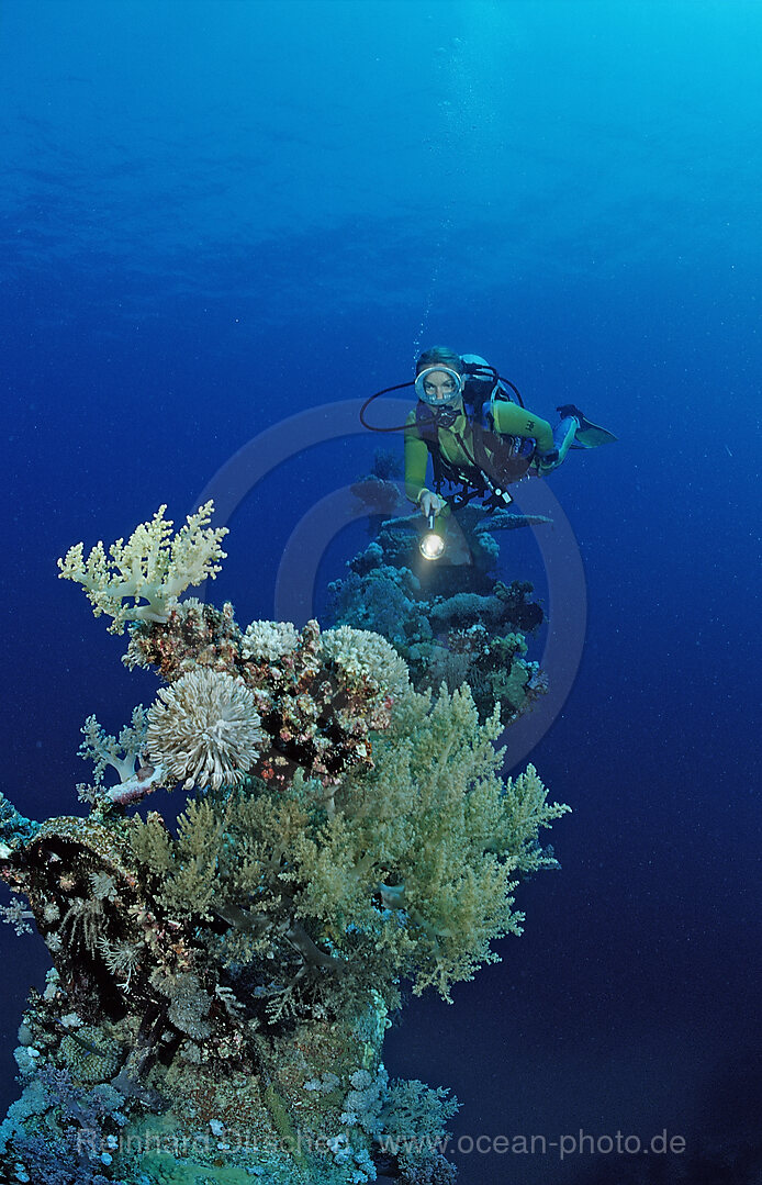 scuba diver explores unknown ship wreck