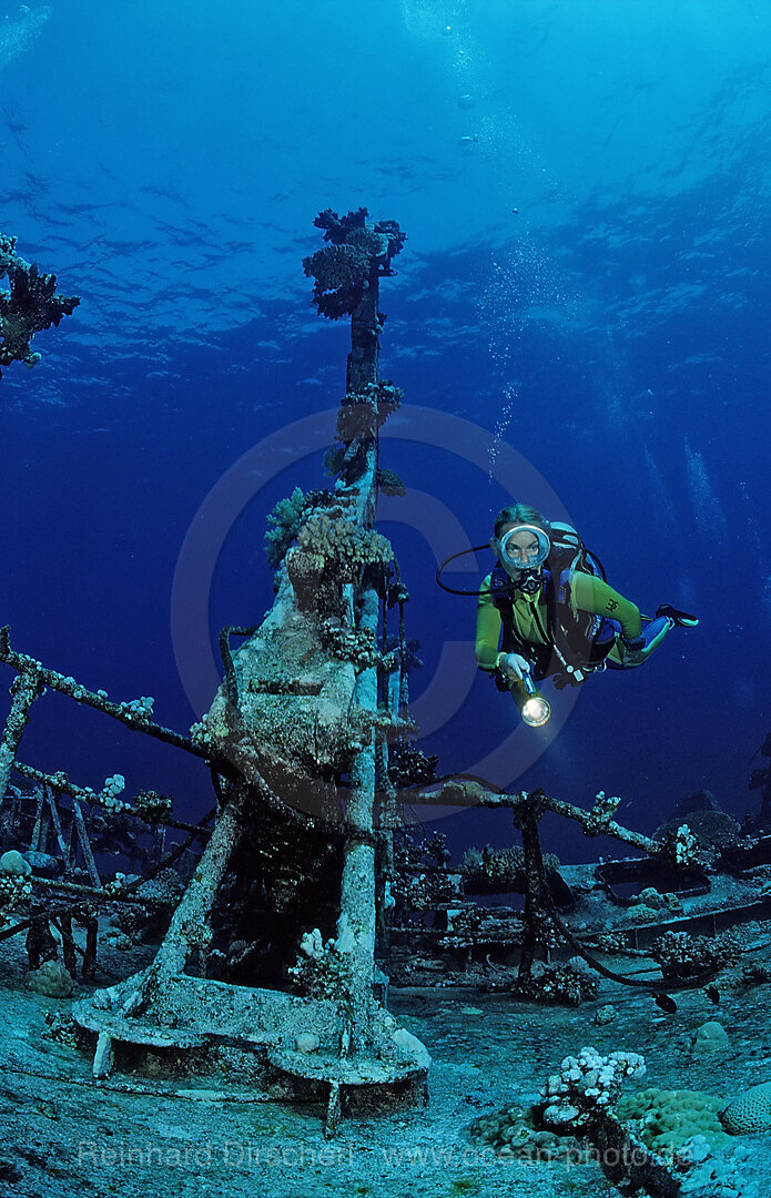 Taucher erkundet unbekanntes Schiffswrack