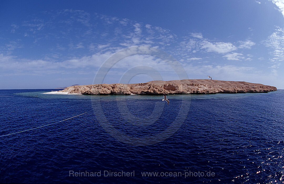 Rocky Island, Rocky Island, Rotes Meer, gypten, Aegypten