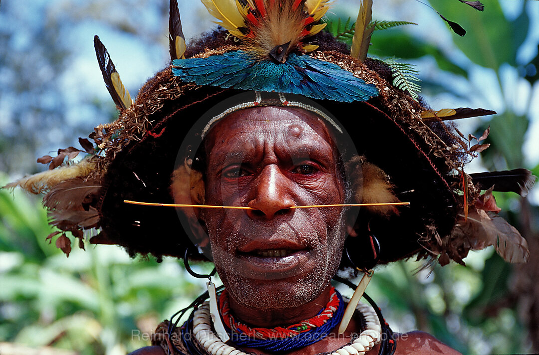 Huli Perueckenmann, Tari, Huli, Highlands, Papua Neu Guinea