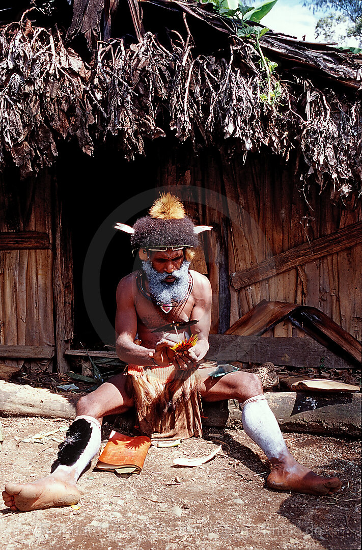 Huli Perueckenmann, Tari, Huli, Highlands, Papua Neu Guinea