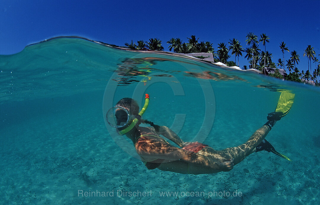 Schnorcheln am Strand vor Resort, Wakatobi Dive Resort, Sulawesi, Indischer Ozean, Bandasee, Indonesien