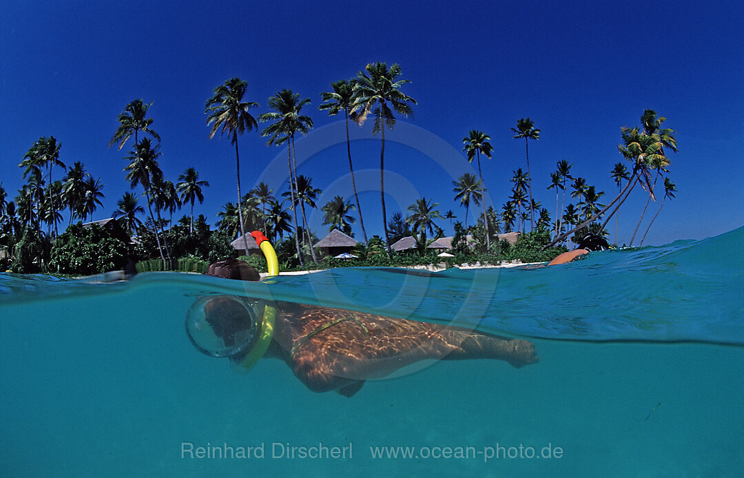 Schnorcheln am Strand vor Resort, Wakatobi Dive Resort, Sulawesi, Indischer Ozean, Bandasee, Indonesien