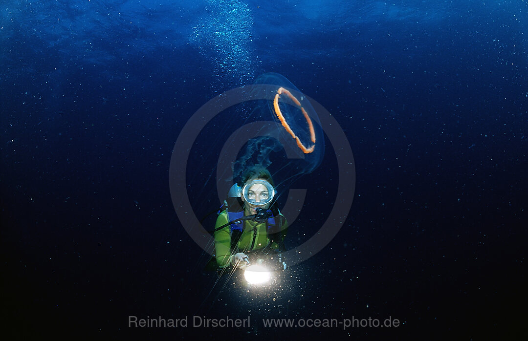 Scuba diver and Jellyfish
