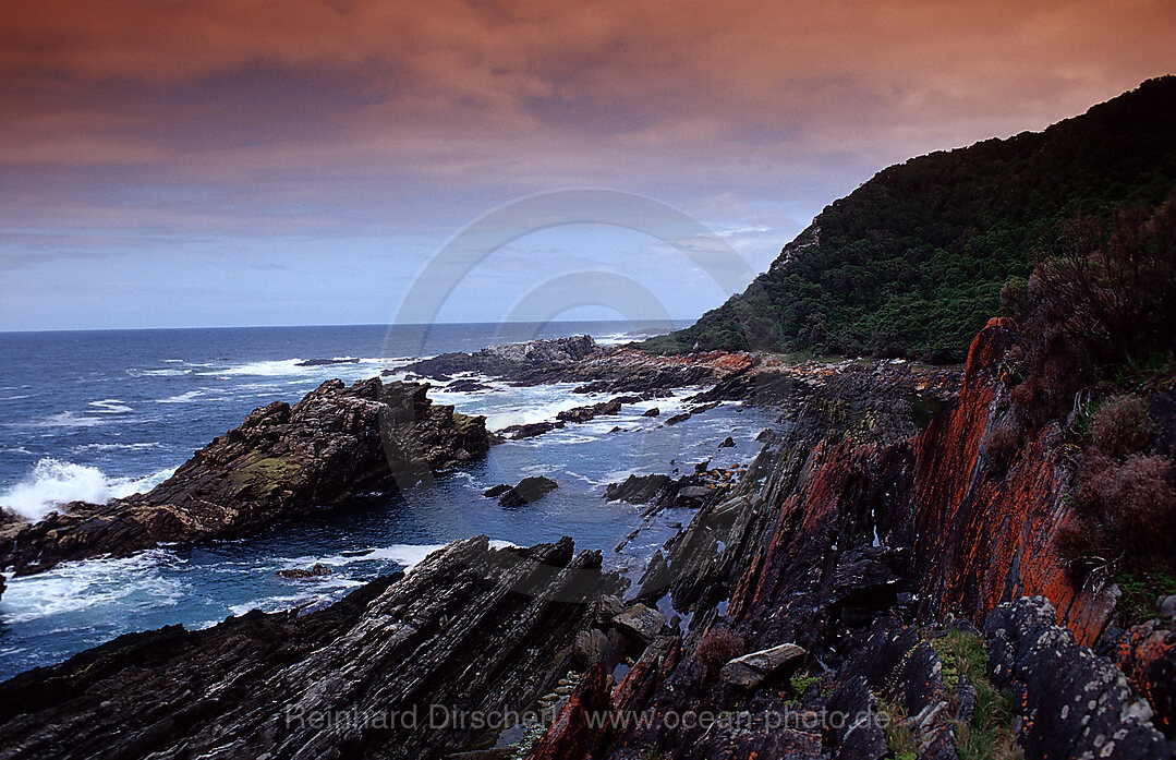 Schroffe Felskueste, Tsitsikamma Nationalpark, Otter trail, Sdafrika, Suedafrika