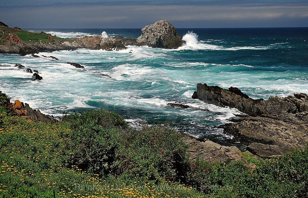 Sharp Rock coast