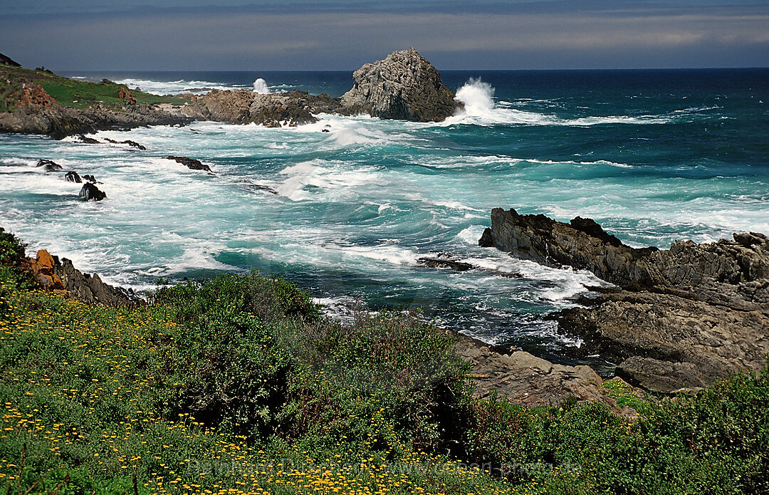 Schroffe Felskueste, Tsitsikamma Nationalpark, Otter trail, Sdafrika, Suedafrika