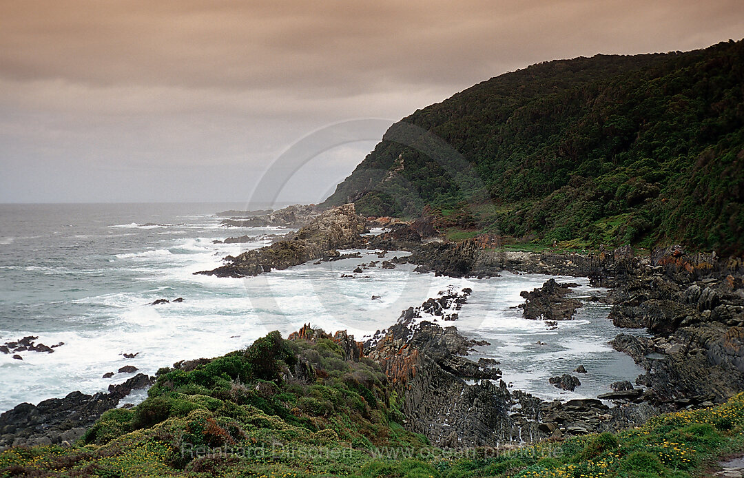 Sharp Rock coast