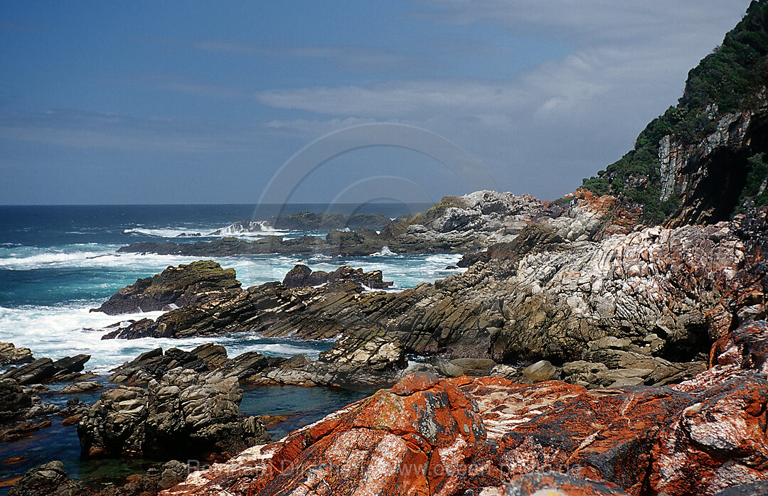 Sharp Rock coast