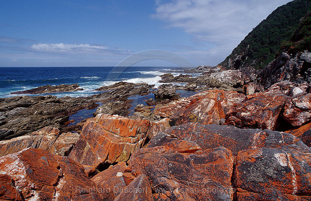 Schroffe Felskueste, Tsitsikamma Nationalpark, Otter trail, Sdafrika, Suedafrika