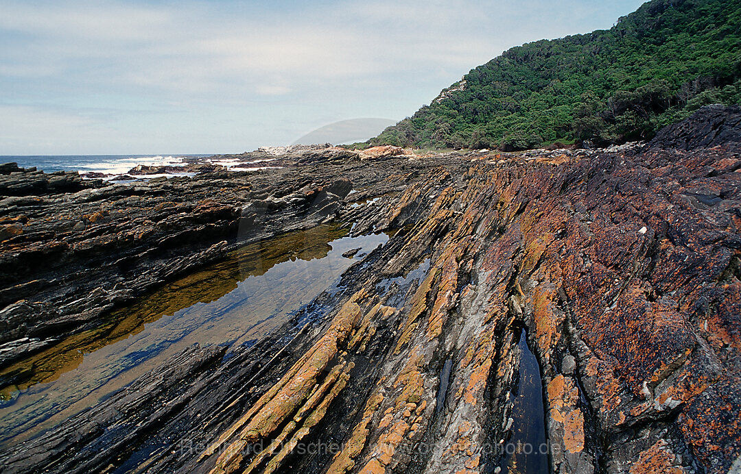 Schroffe Felskueste, Tsitsikamma Nationalpark, Otter trail, Sdafrika, Suedafrika