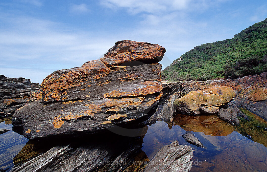 Sharp Rock coast