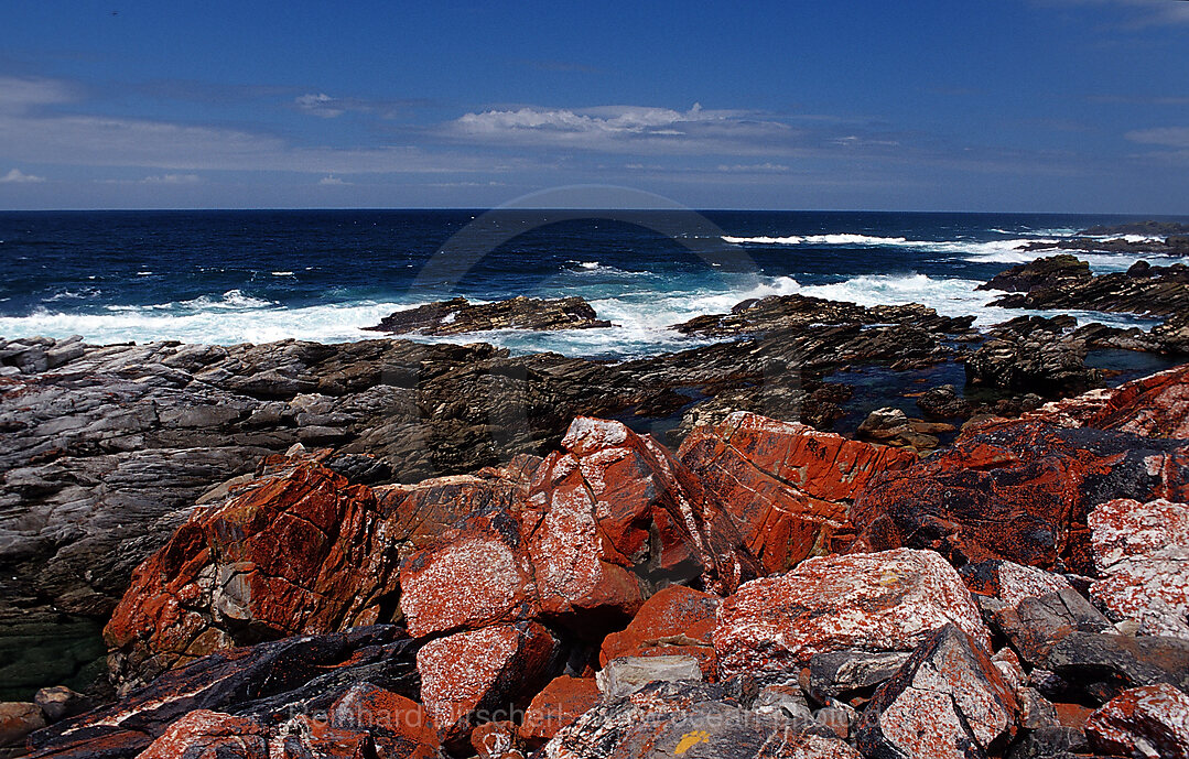 Schroffe Felskueste, Tsitsikamma Nationalpark, Otter trail, Sdafrika, Suedafrika