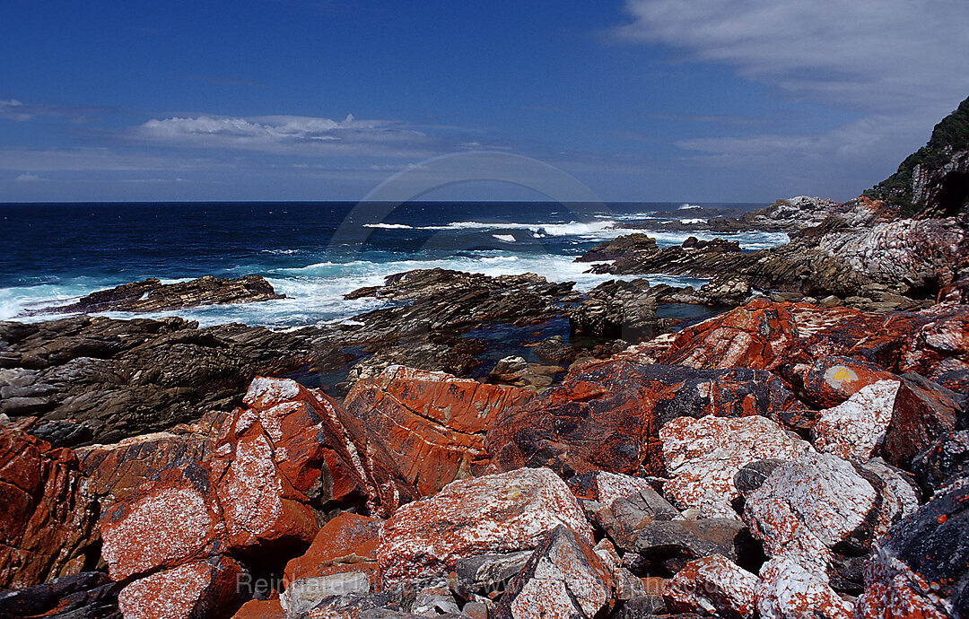 Sharp Rock coast