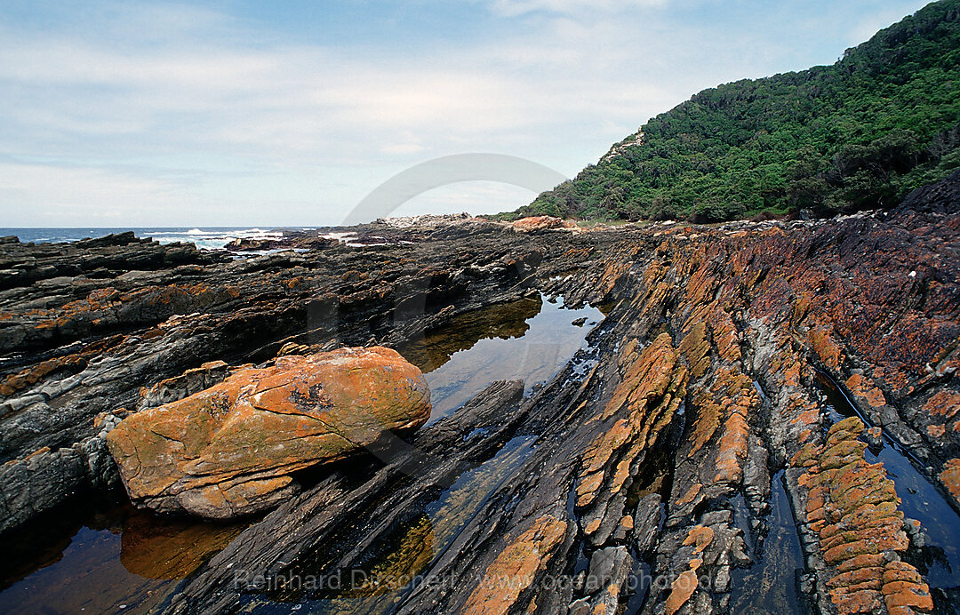 Schroffe Felskueste, Tsitsikamma Nationalpark, Otter trail, Sdafrika, Suedafrika